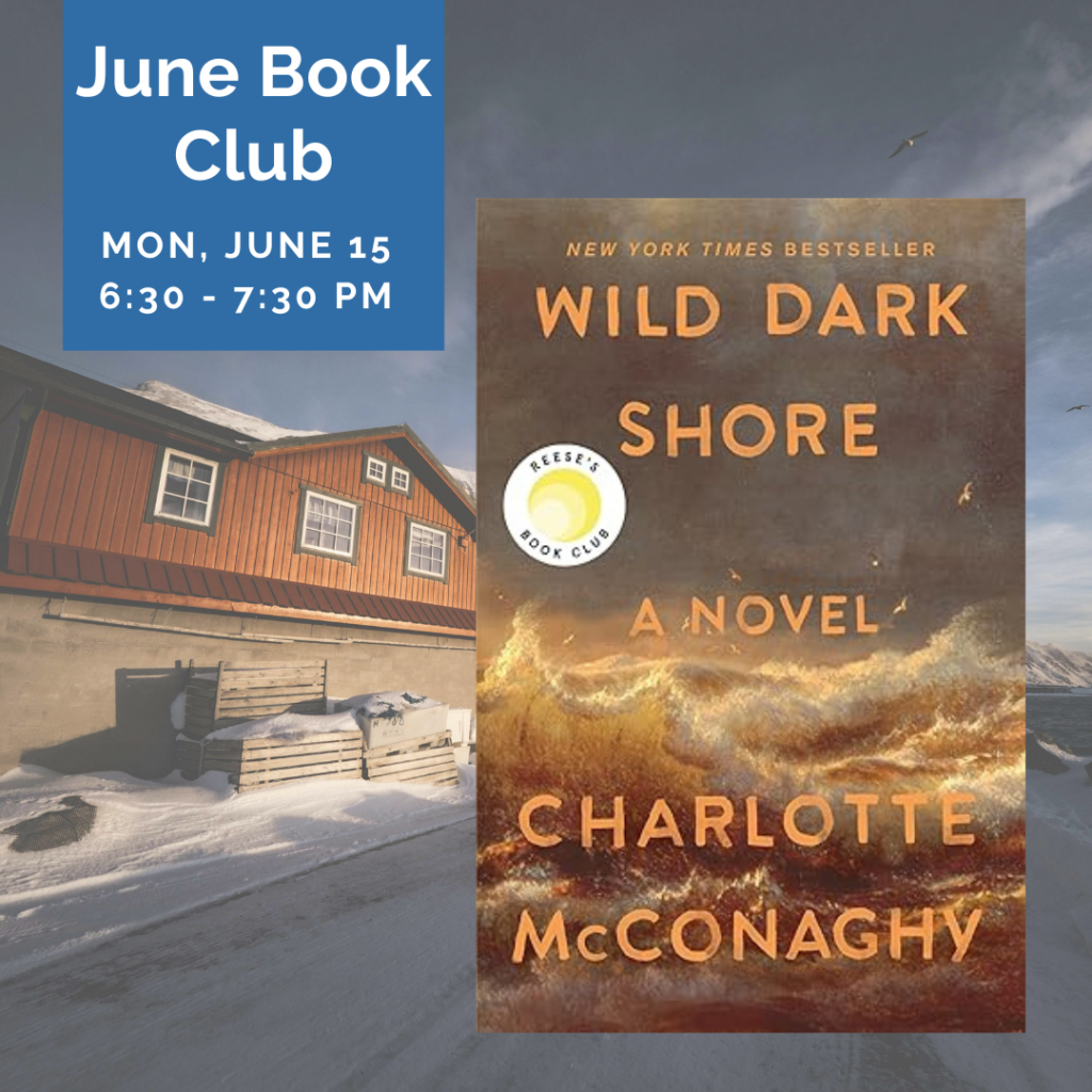 wild dark shore featured image